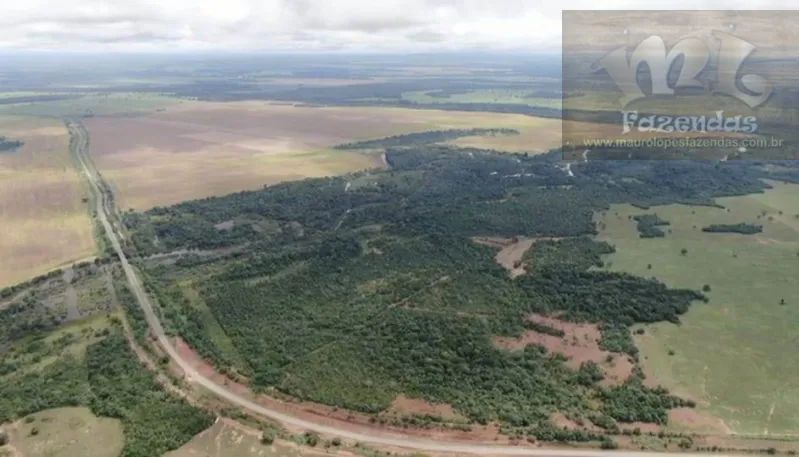 FAZ 374 - Fazenda na Região de Gurupi  Sul do Tocantins  4.791 hect - Foto 4