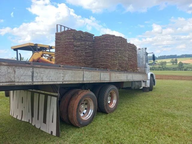 Grama Direto do Produtor - Foto 4