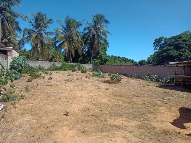 Terreno Scherrer 490 m2