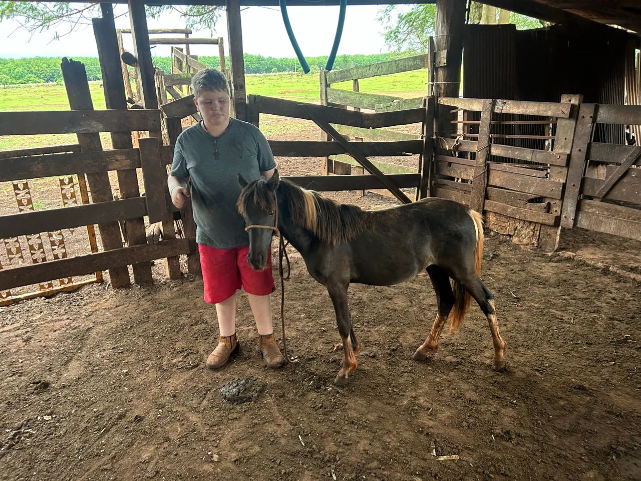 Mine Ponei  - Foto 3