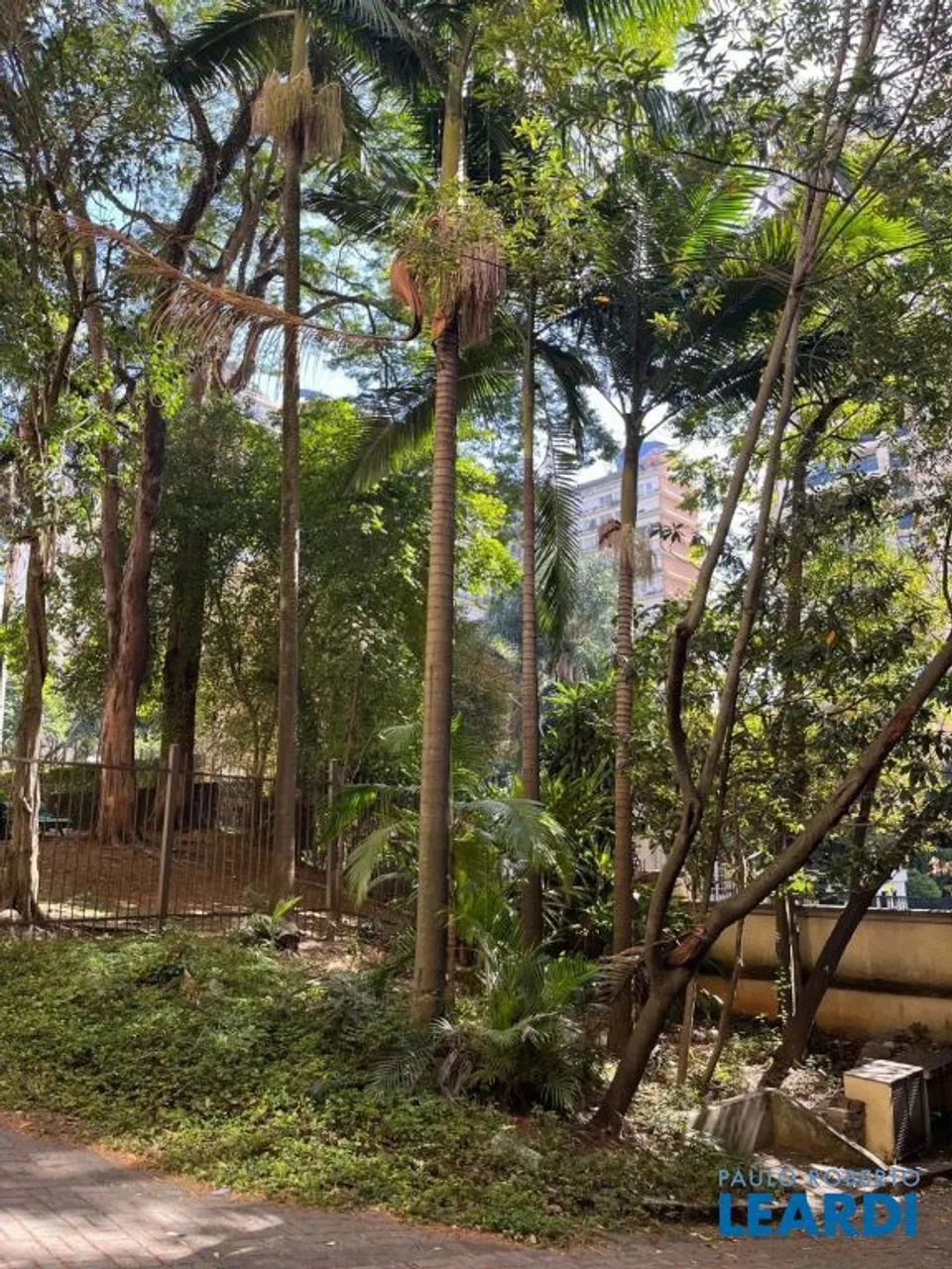 COMERCIAL - HIGIENÓPOLIS - SP - Foto 4