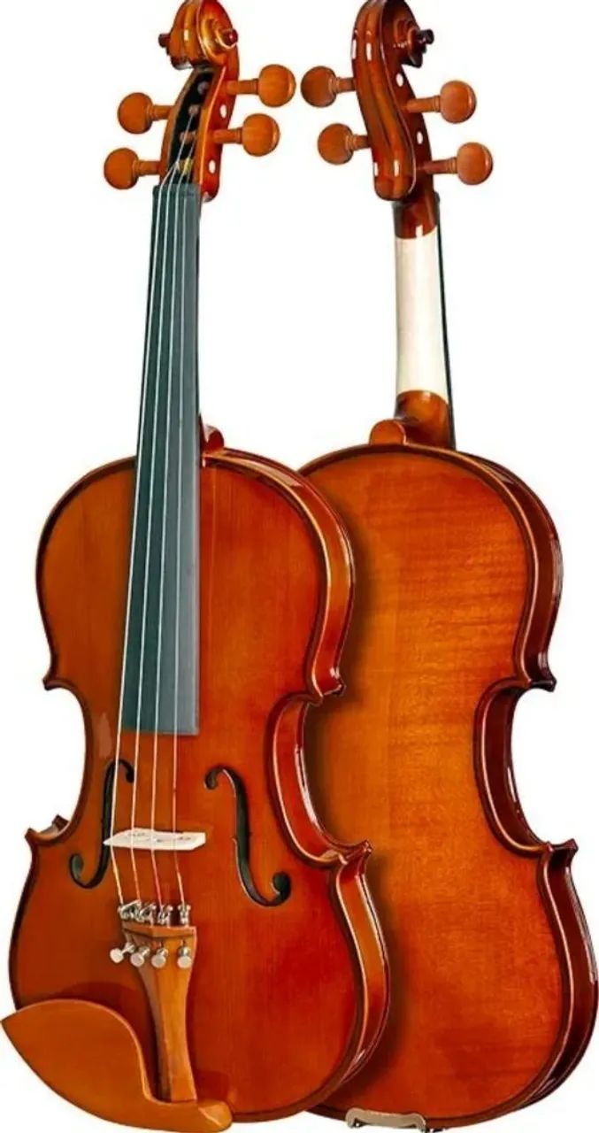 Violino  - Foto 5