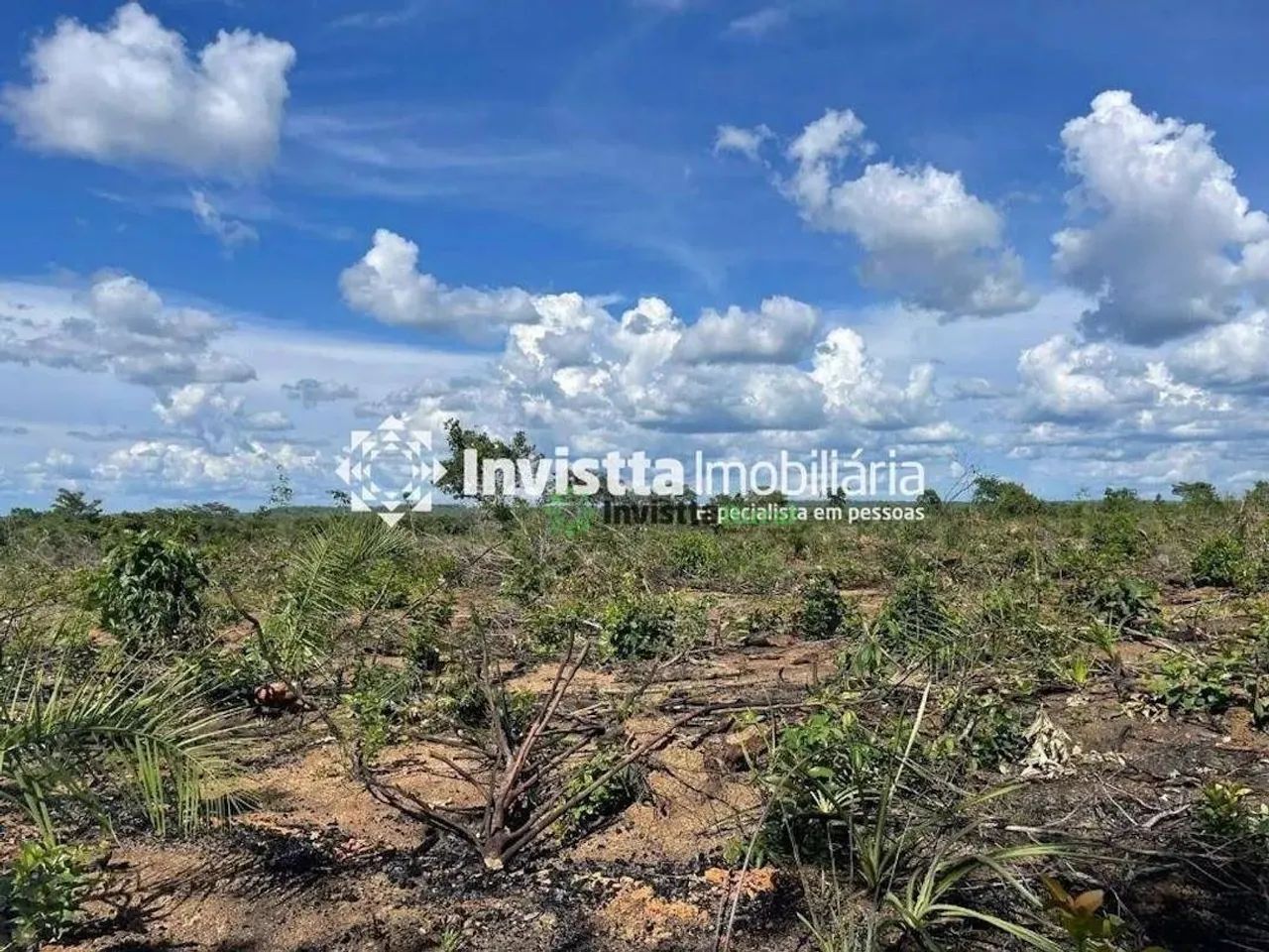 Fazenda de 58 alqueires em estágio de abertura no Tocantins - Foto 3