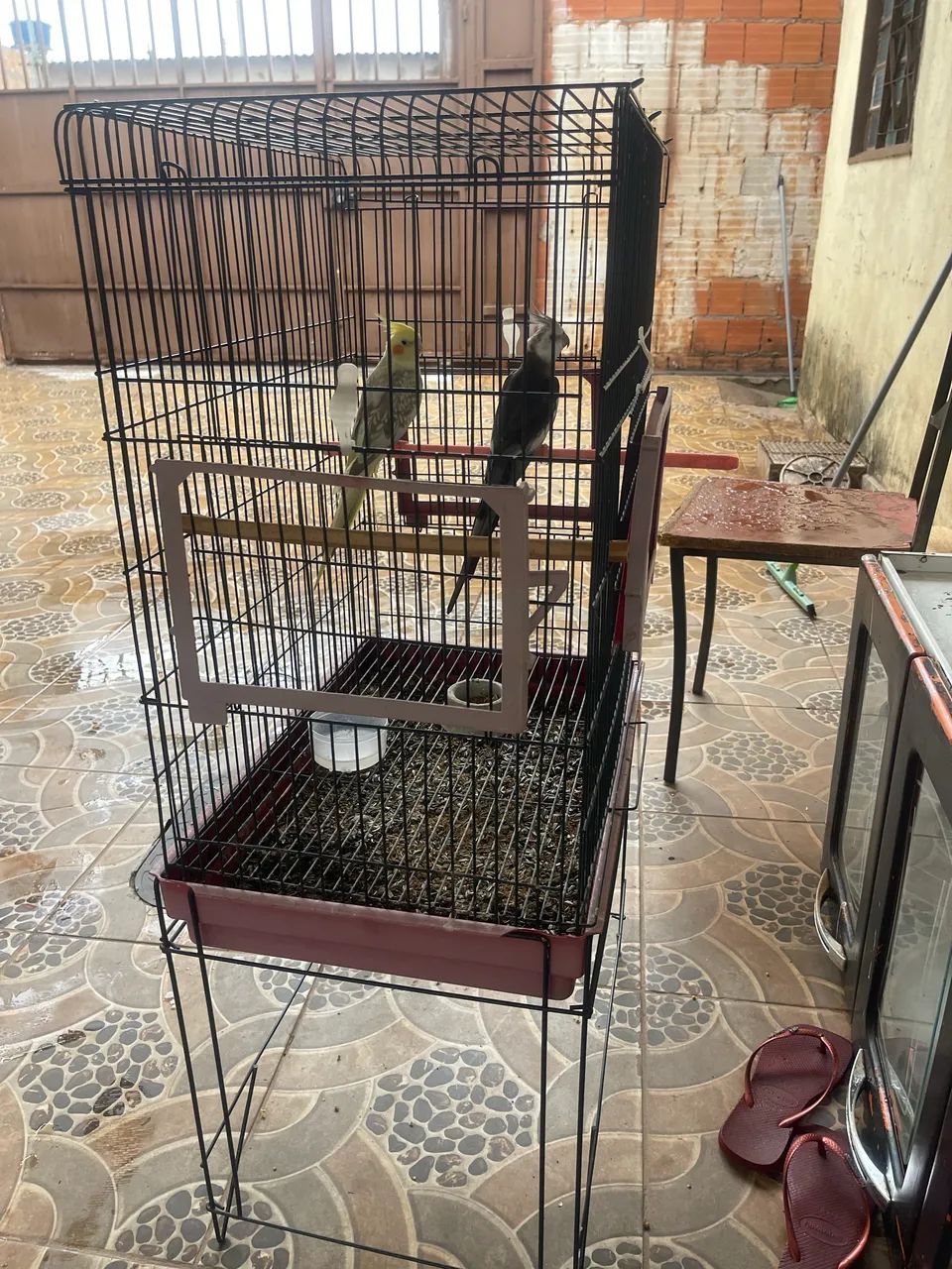 Gaiola grande  - Foto 3