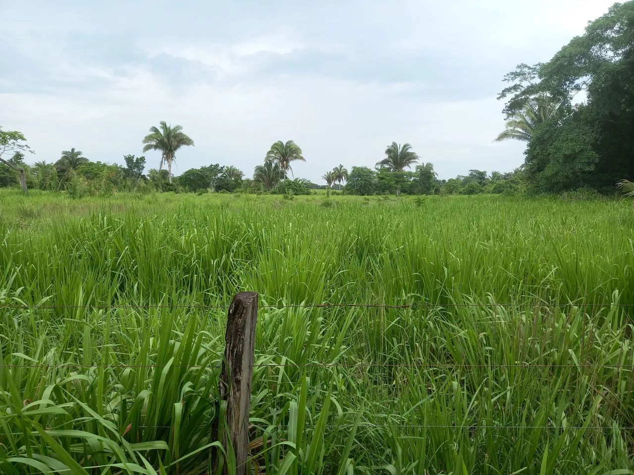 Fazenda São Cristóvão 02 - Foto 9