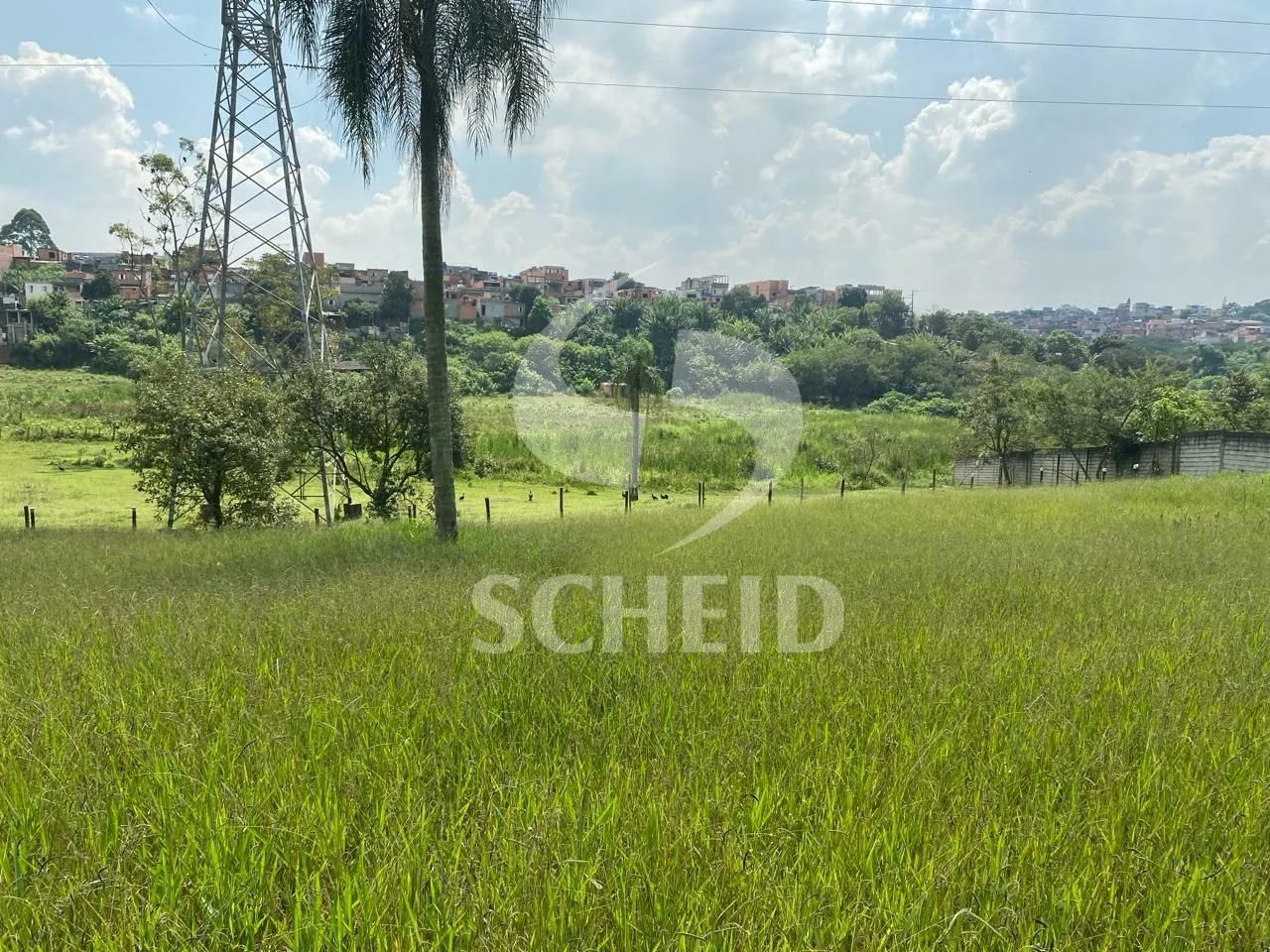 Sítio, Chácara do Sol - São Paulo - Foto 3