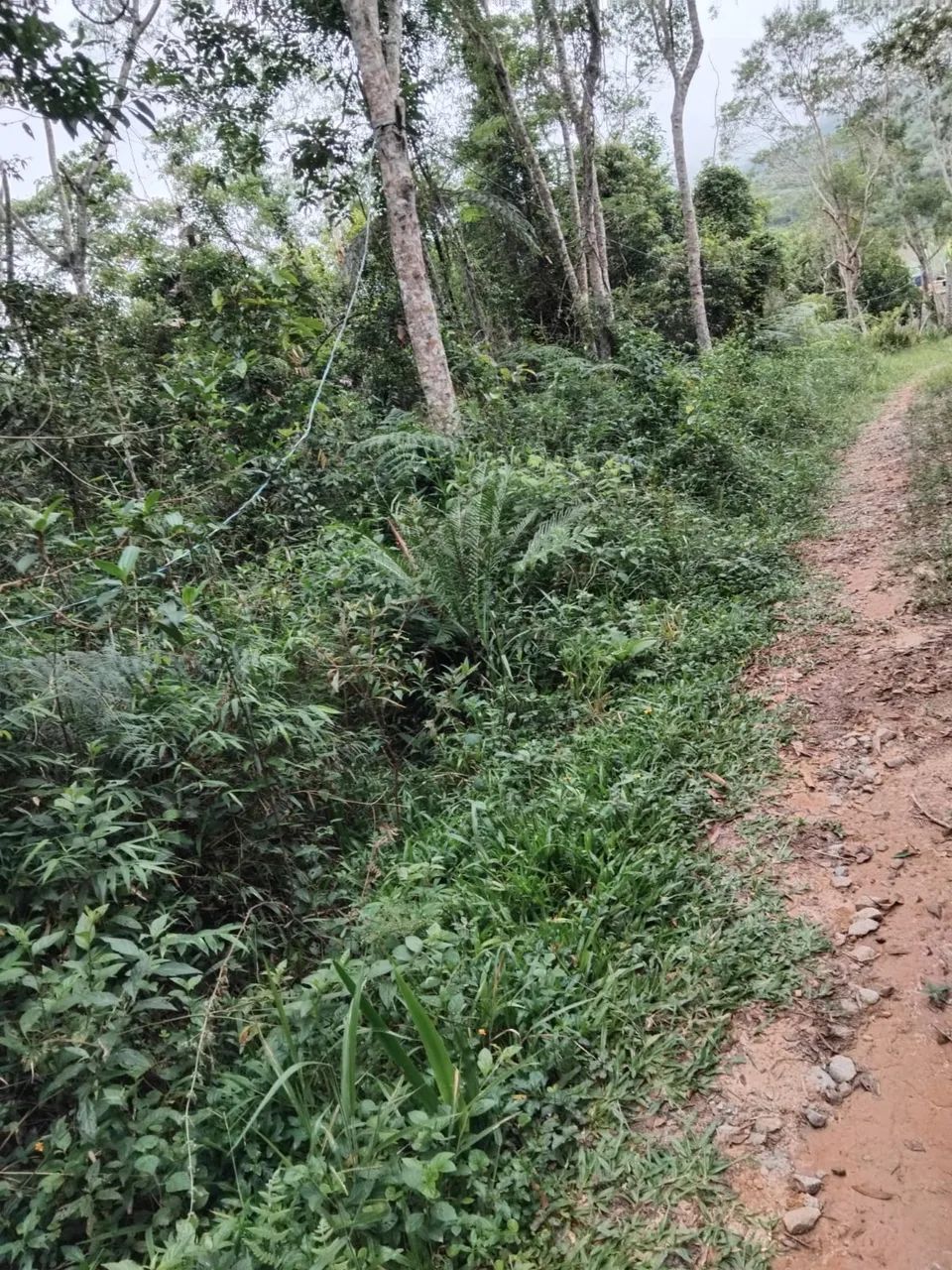 Terreno em Juquitiba 