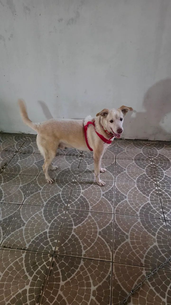 Léo   - Foto 2