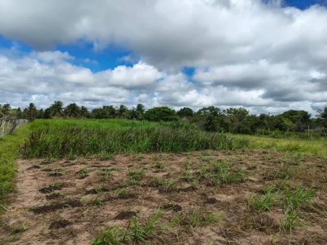 Foto - São José de Mipibu - 
