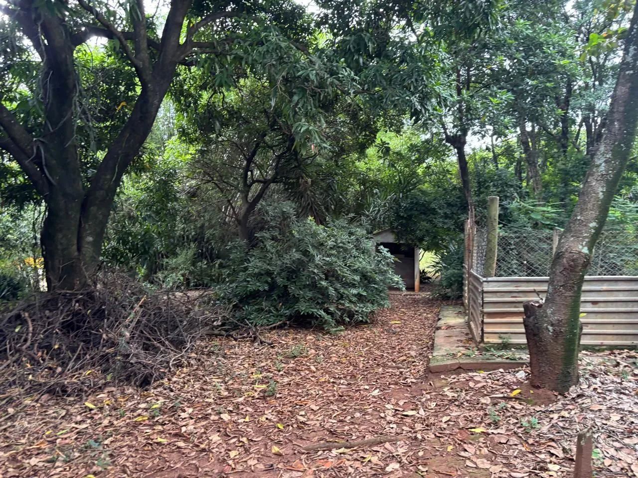 Área à Venda | Avenida Ipanema | Sorocaba - Sorocaba/SP - Foto 5
