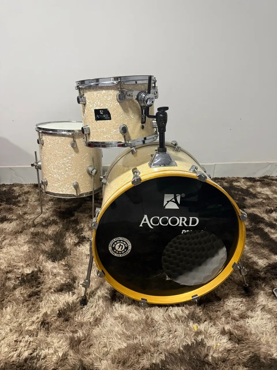 Shell Pack Accord Jazz