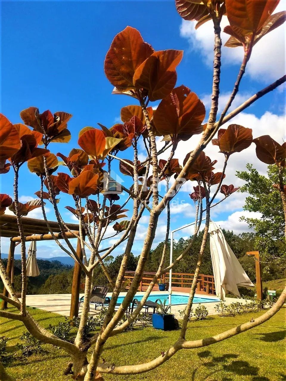 Sítio à venda em Ibirama/SC - Foto 5