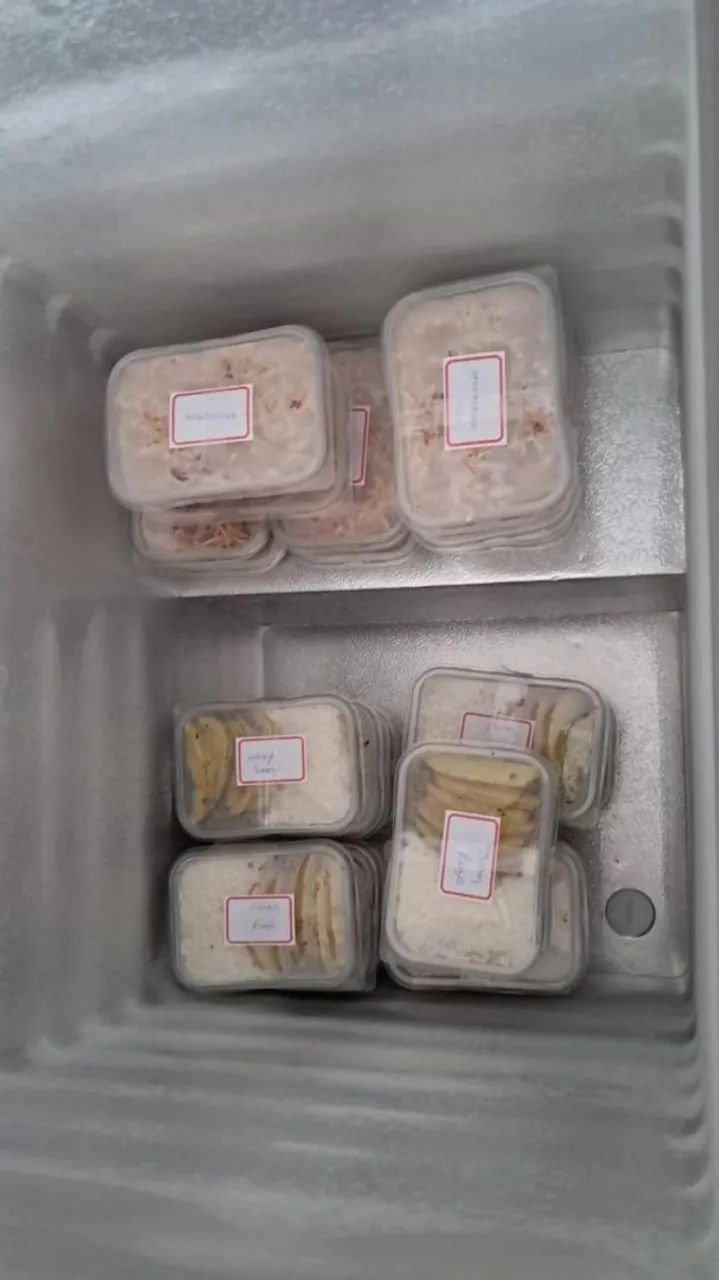 Marmitas  congeladas  - Foto 2