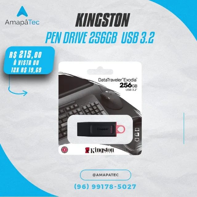 Pen Drive Kingston 256GB