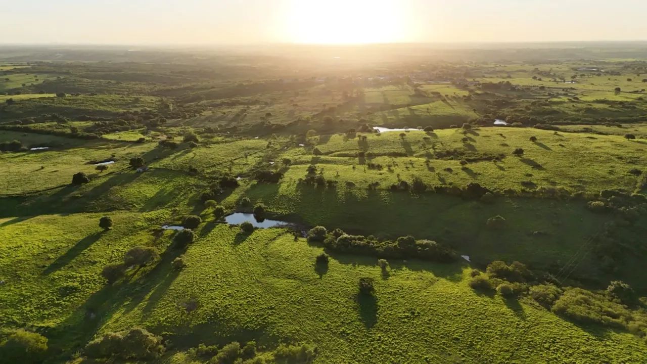 fazenda com 120 hectares na região de Monte Alegre - Foto 5