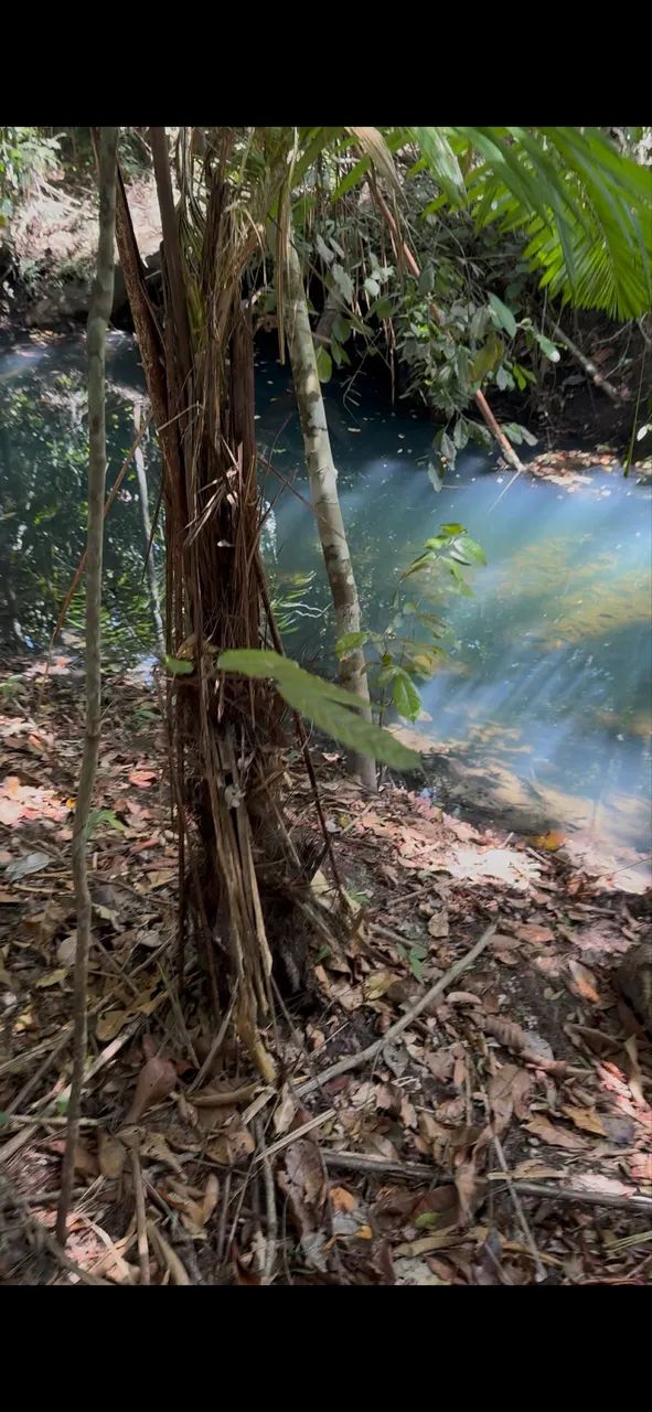 Oportunidade chácaras de recreio na região do Cantá - Foto 2