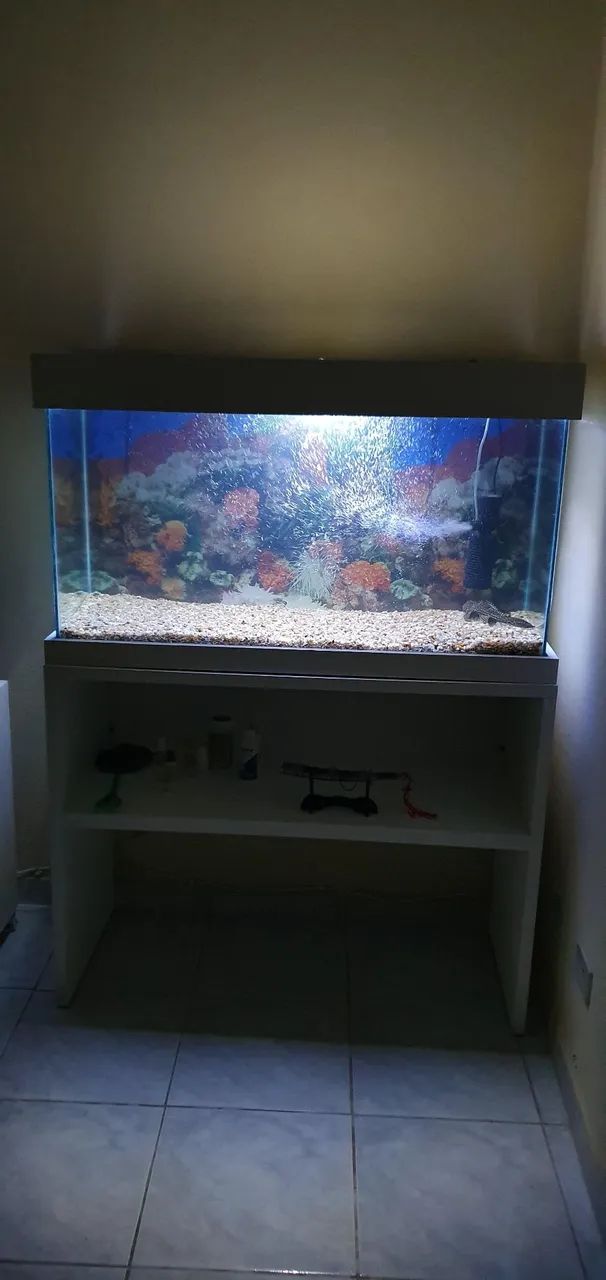 Lindo aquário  - Foto 4