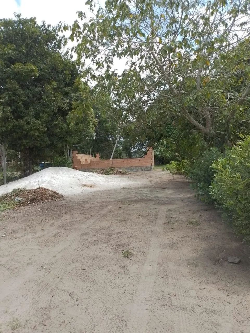 Vendo área em Trancoso  - Foto 4