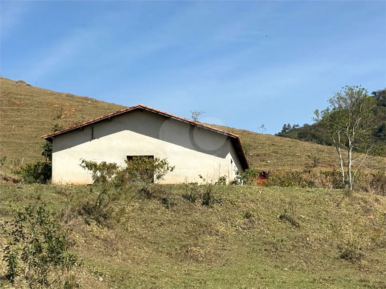 Sítio para quem busca tranquilidade e qualidade de vida - Foto 2