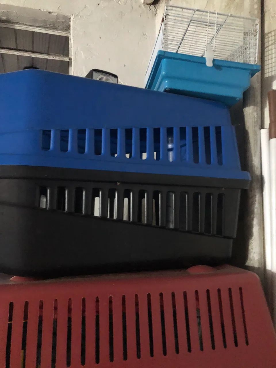 Casinha para pet