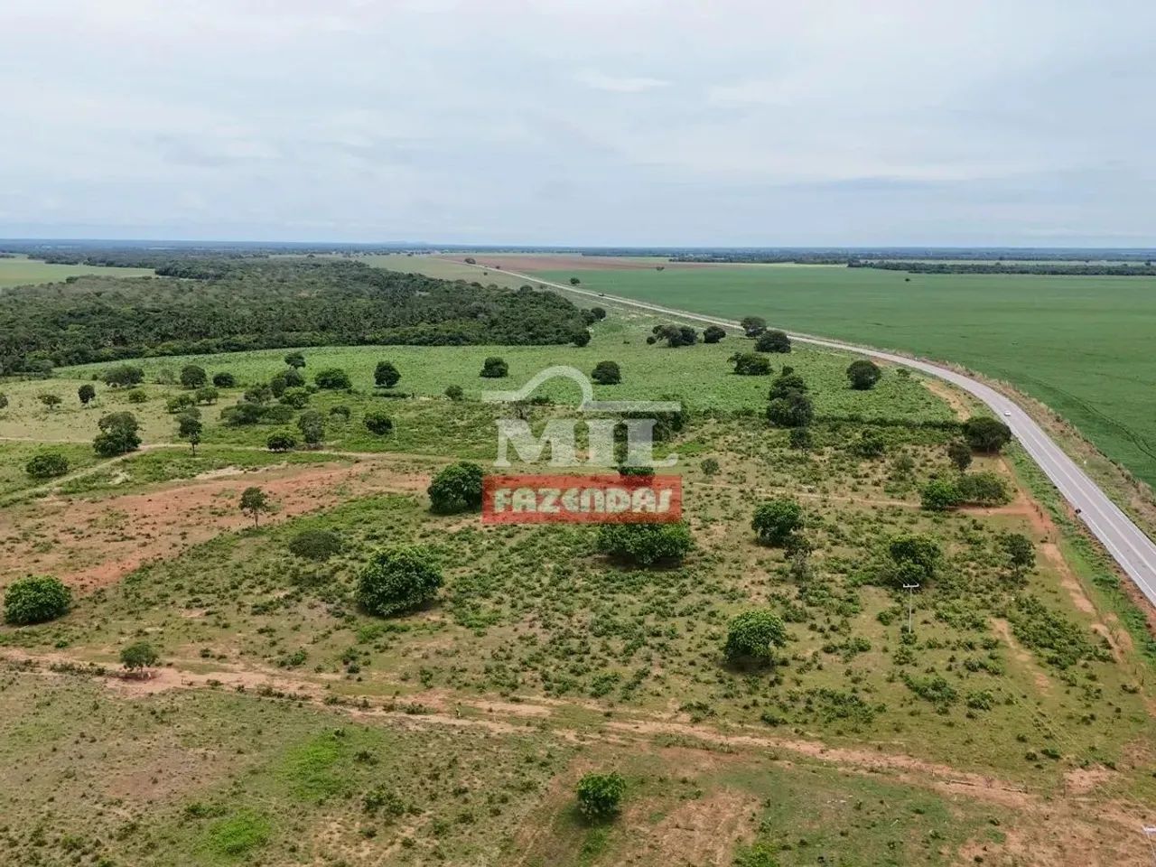 Fazenda 251 Alqueires ( 1.214 hectares ) Peixe - TO - Foto 5