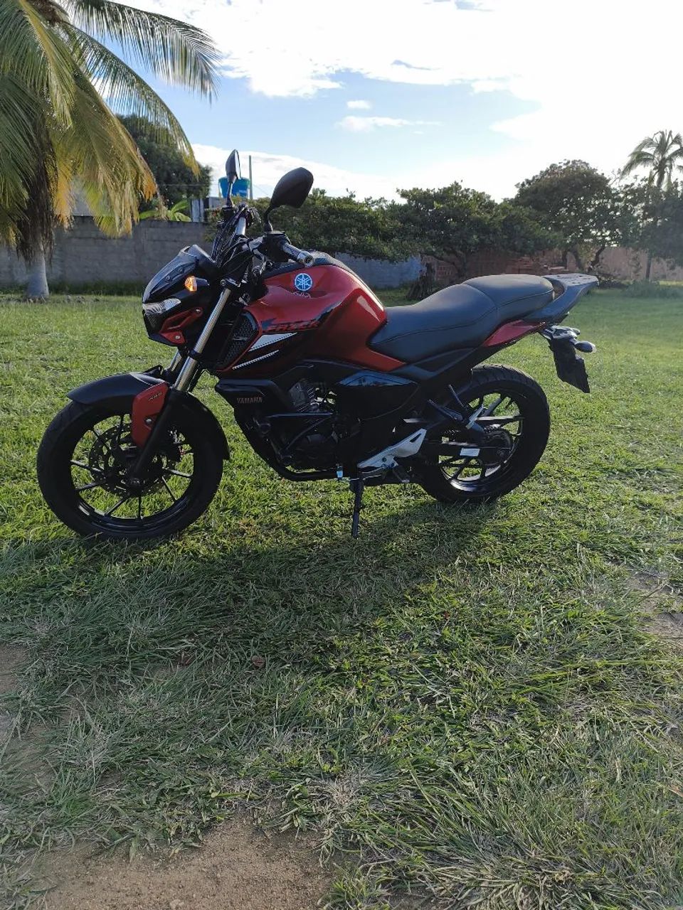 Fz15 2024 