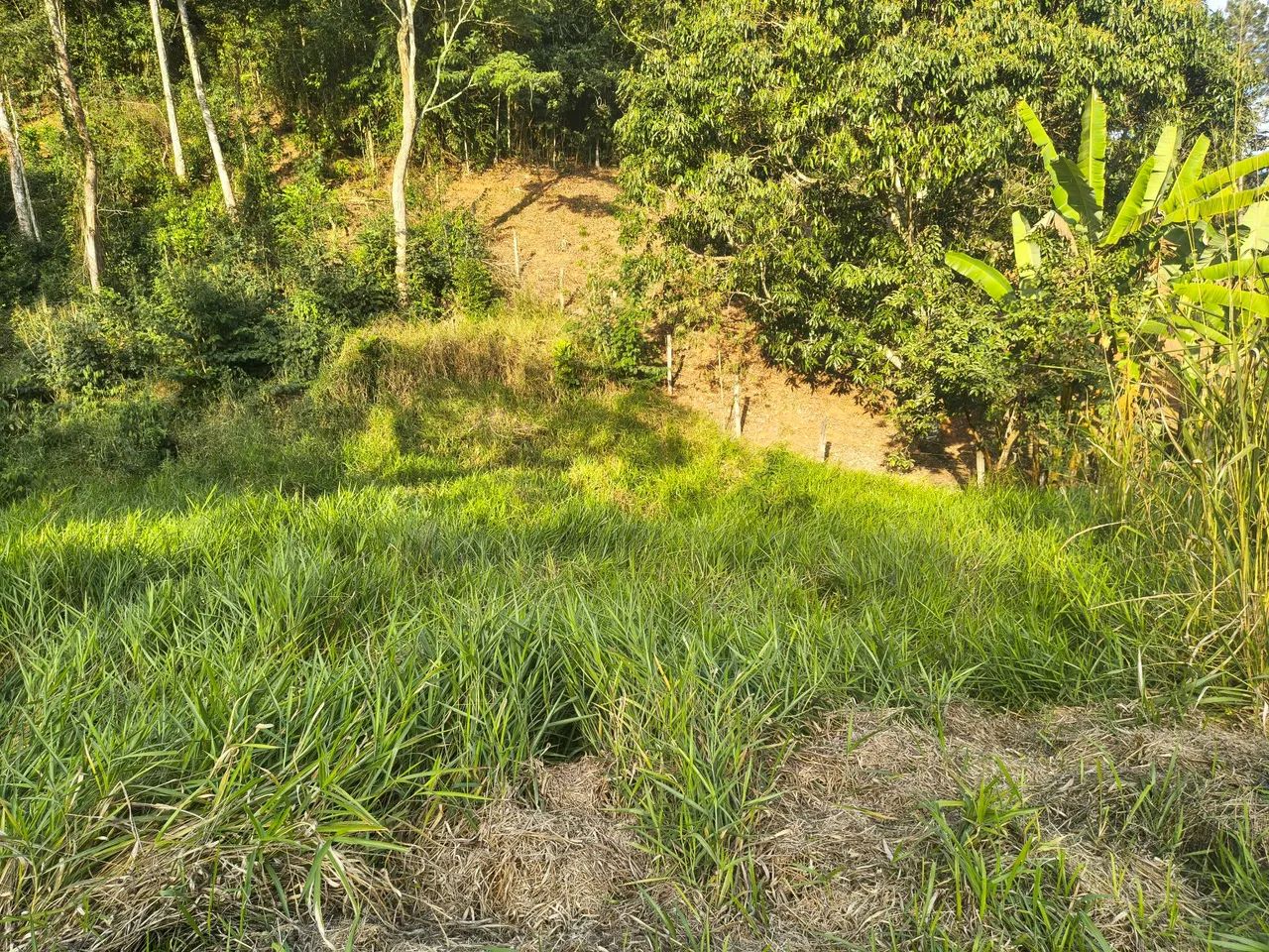 Oportunidade chácara Vale do sabia - Foto 5