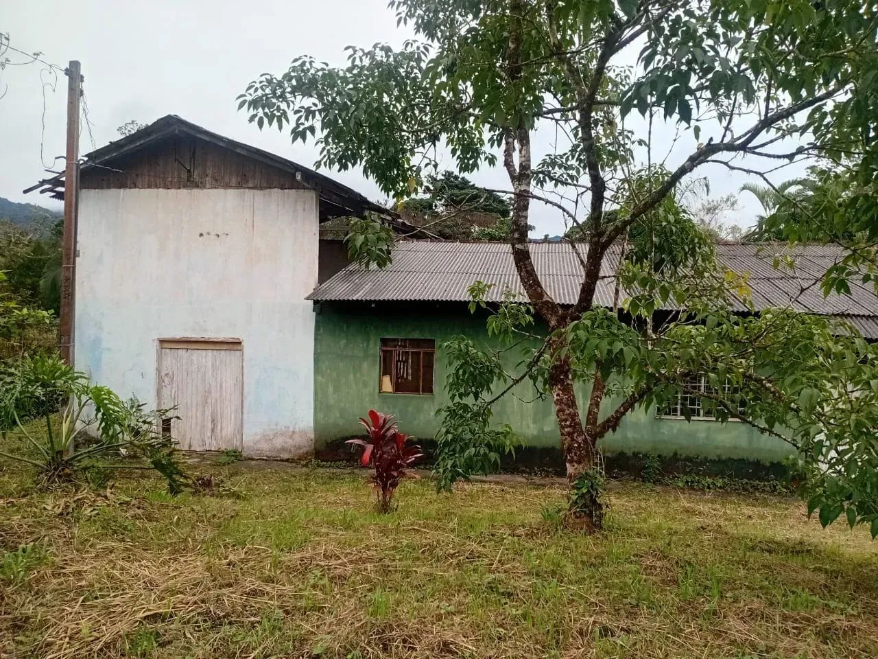 Chácara à Venda em Potinga  Guaraqueçaba/PR - Foto 4