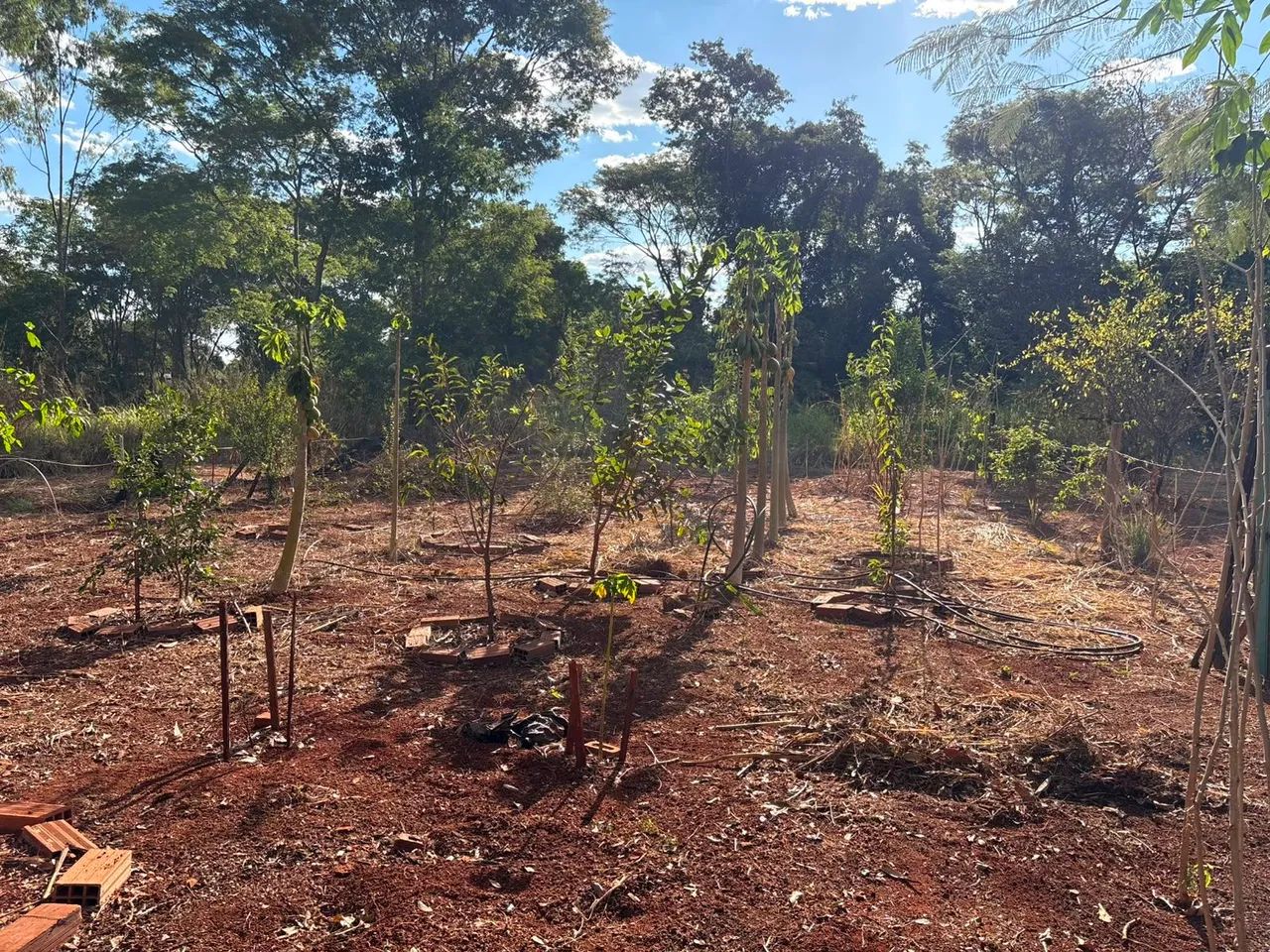 Oport  - Vendo 2 Lotes em Condomínio - Foto 5