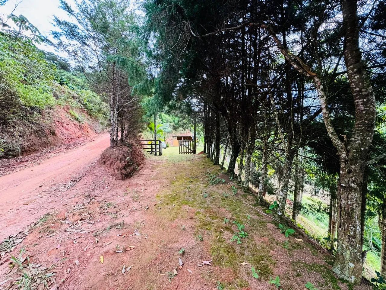 Vendo chácara 6.000 metros quadrados  - Foto 2