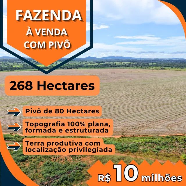 Fazenda com pivô de 80 hectares