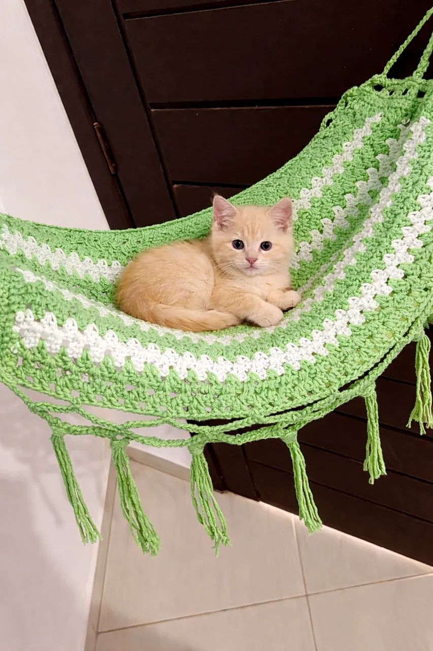 Rede para cão /gato pequeno porte - Foto 4