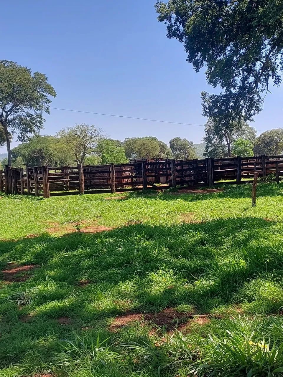Chácara 85 hectares próxima a sidrolandia  - Foto 5
