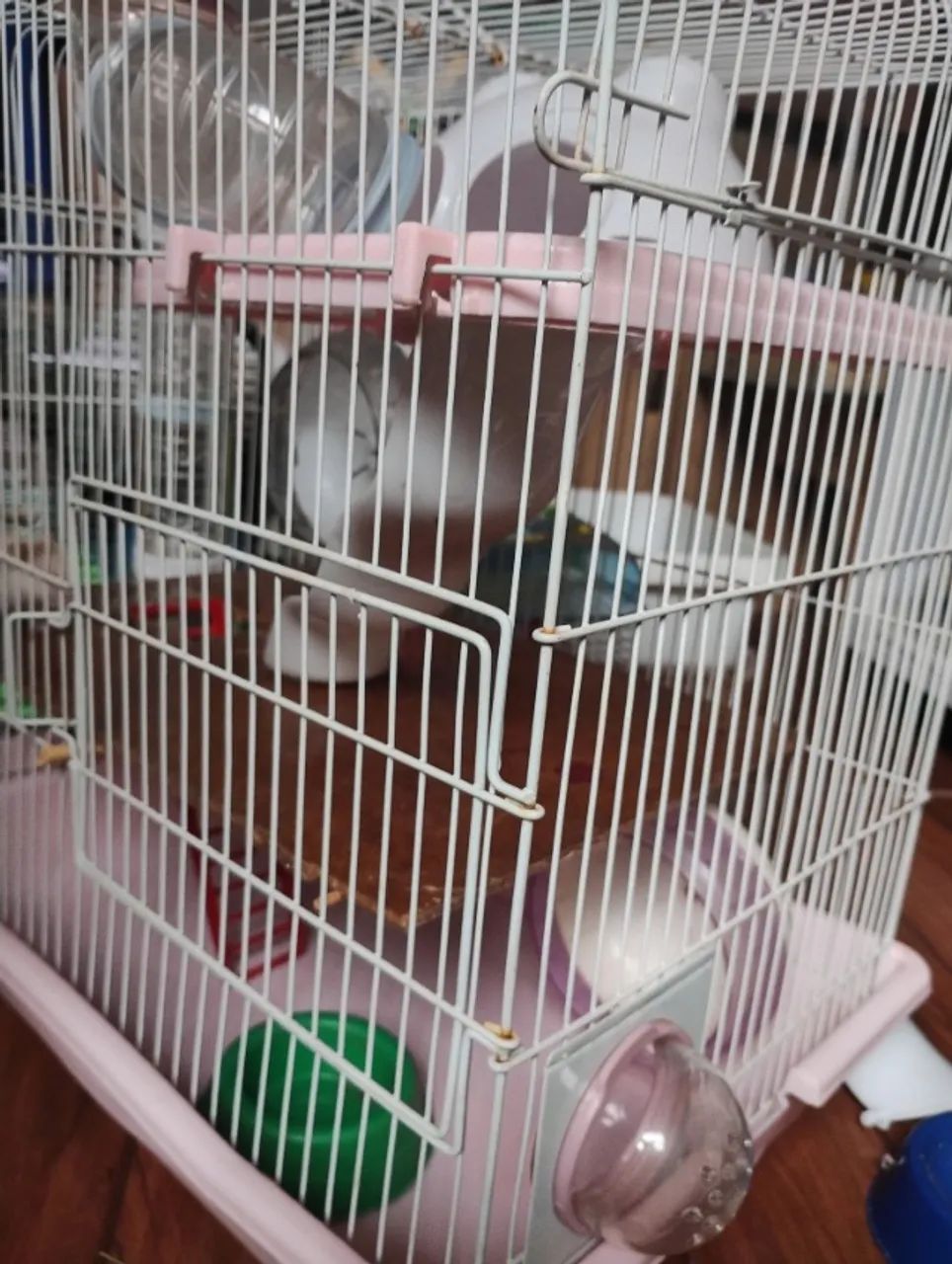 Hamster e gaiola - Foto 2