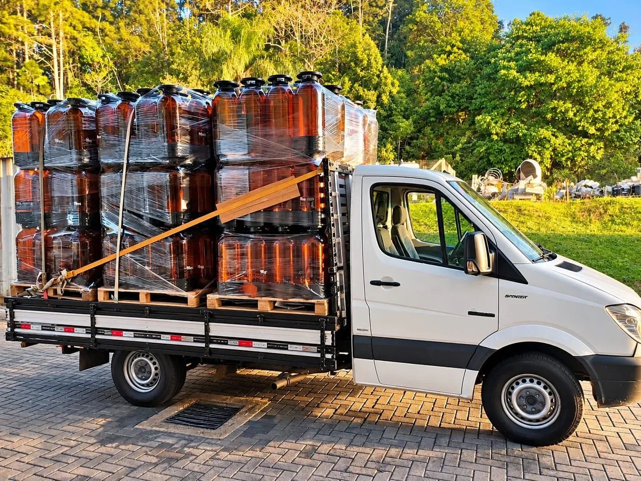 Pedrinho transportes  - Foto 2