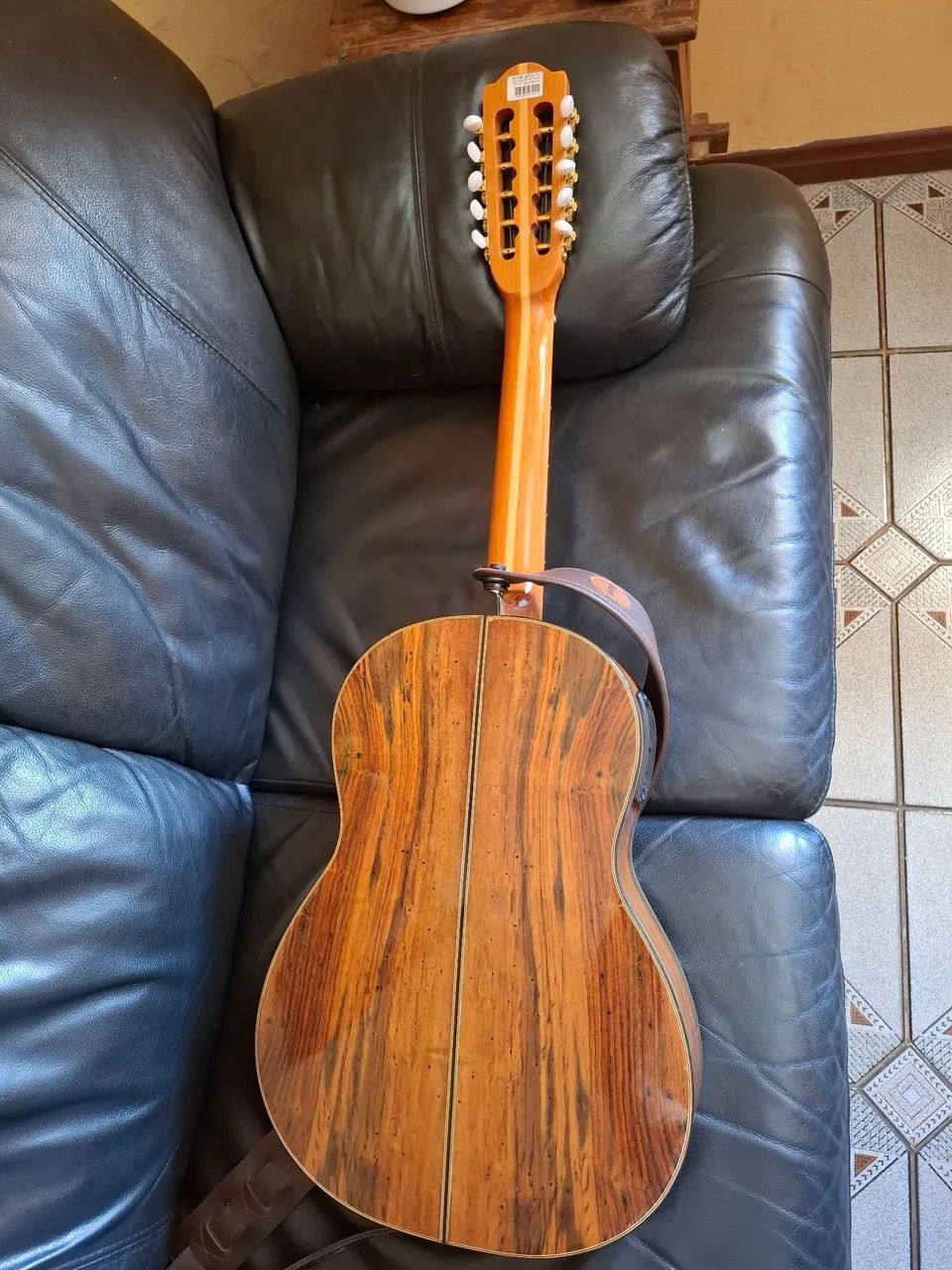 Viola 