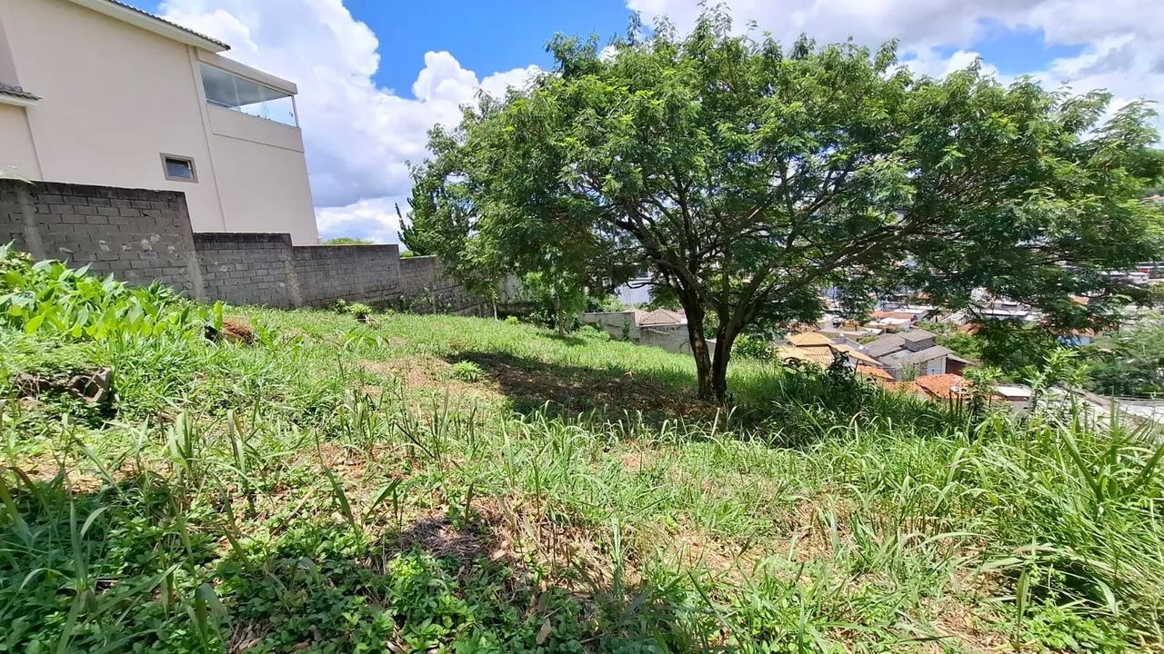 Lote / Terreno - São Pedro - Foto 4
