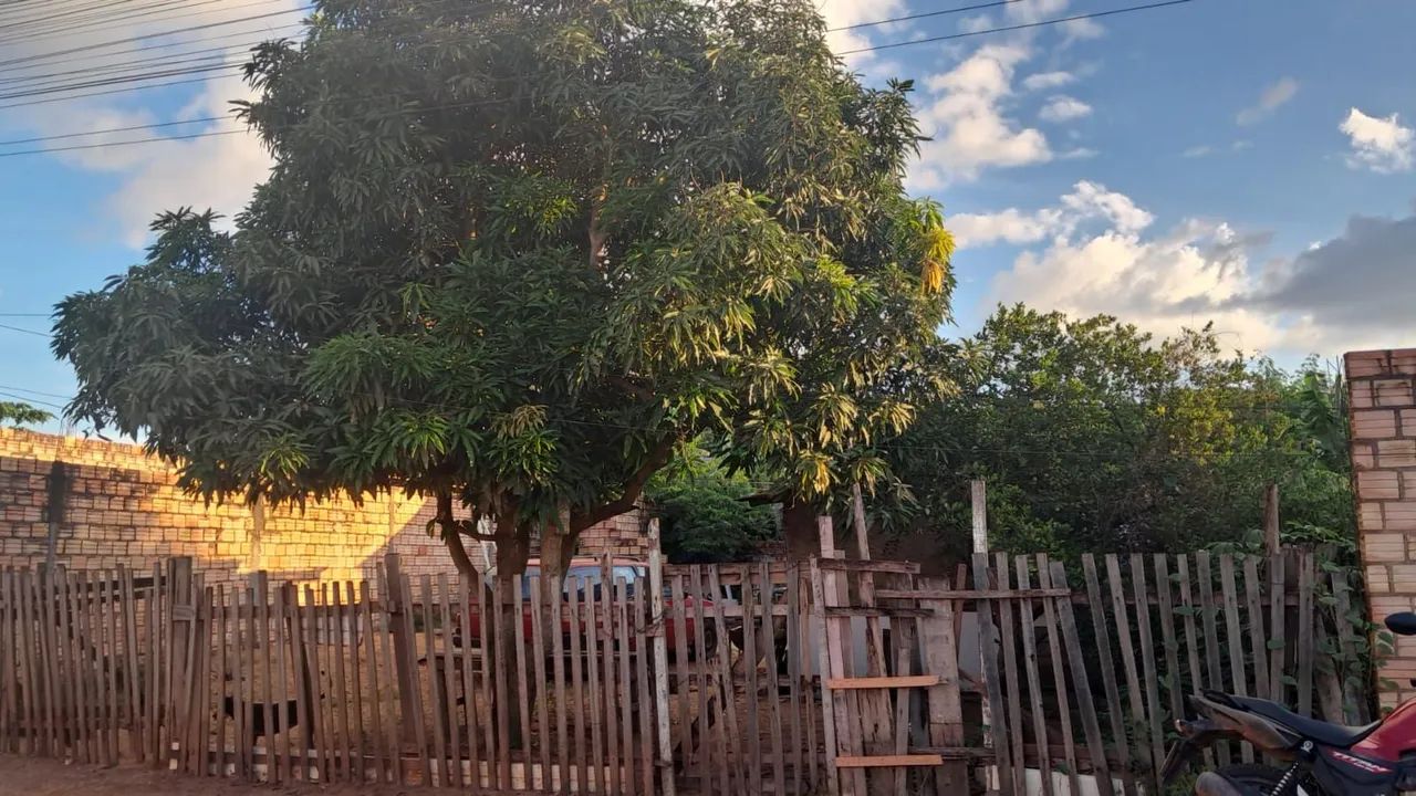 Foto - Boa Vista - 