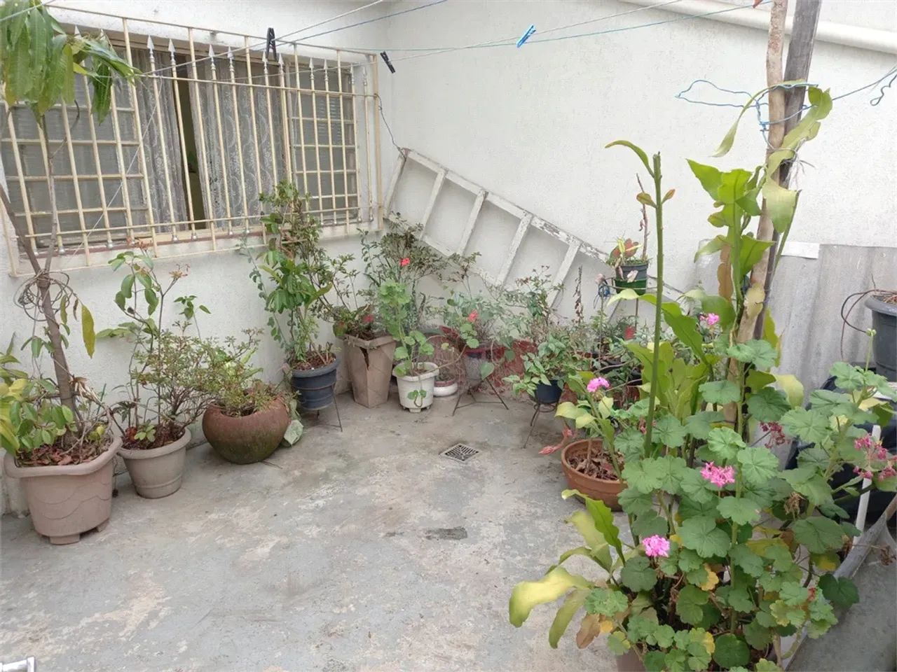CASA TERREA DE VILA - 2 QUARTOS - Foto 5