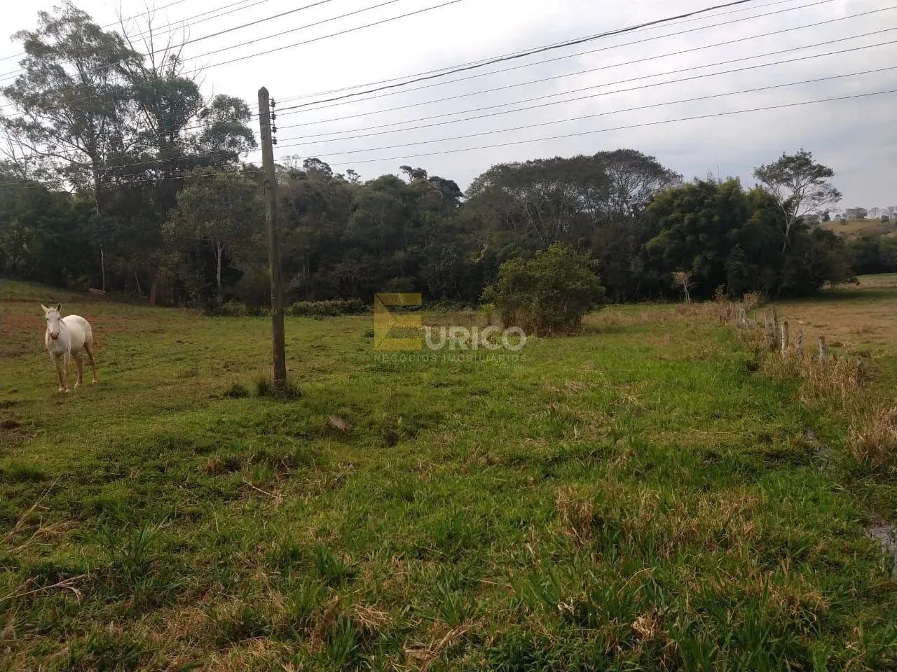 Terreno à venda no Rio Do Peixe em Cambuí/MG - Foto 2