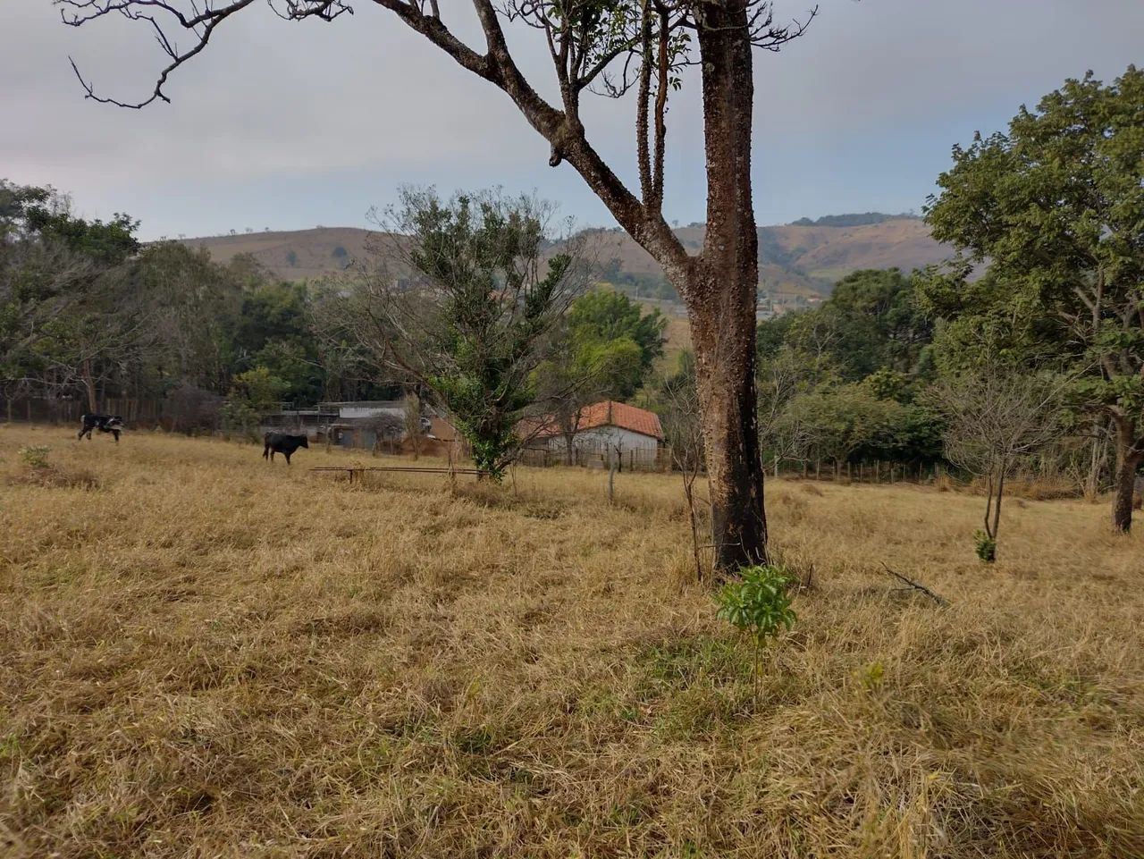 Vendo sitio em Taubaté  - Foto 4