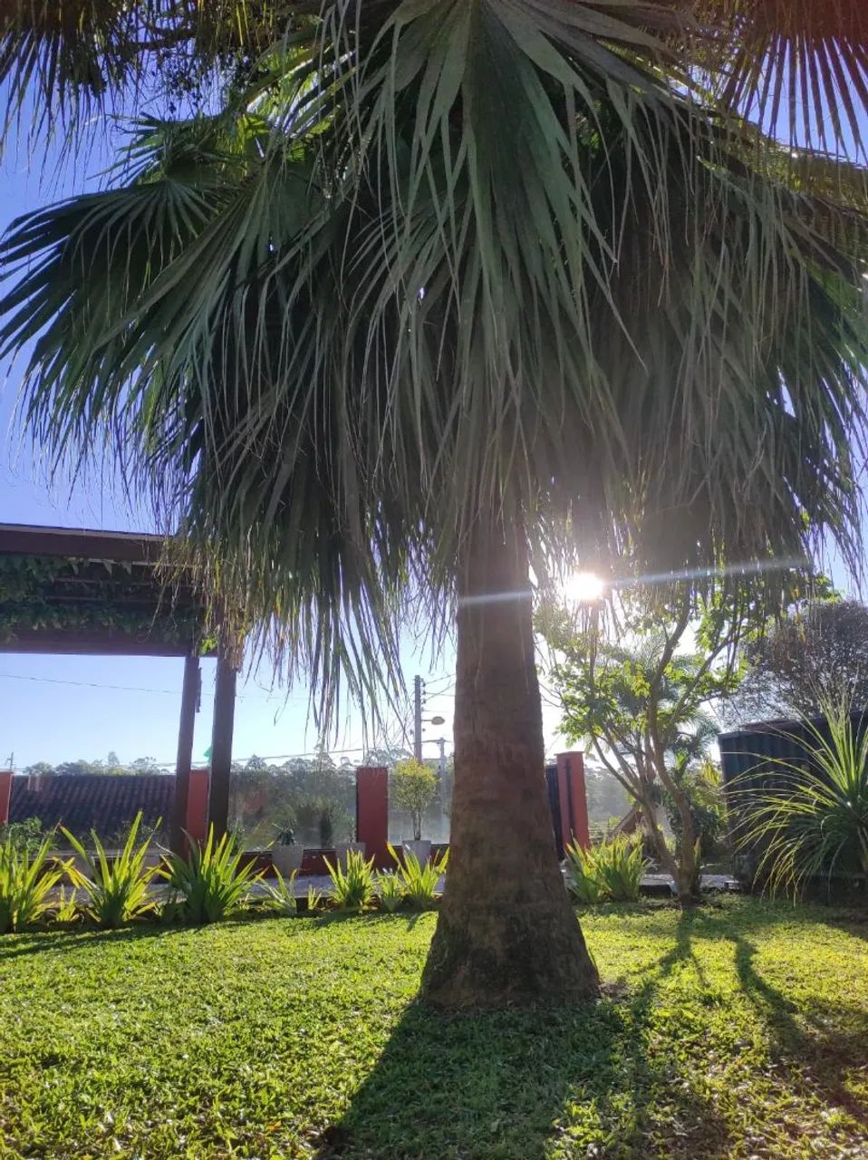 Vendo casa  - Foto 5