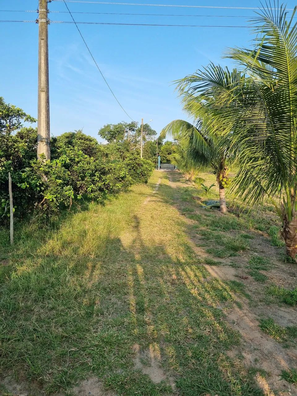 Sítio na estancinha  - Foto 3