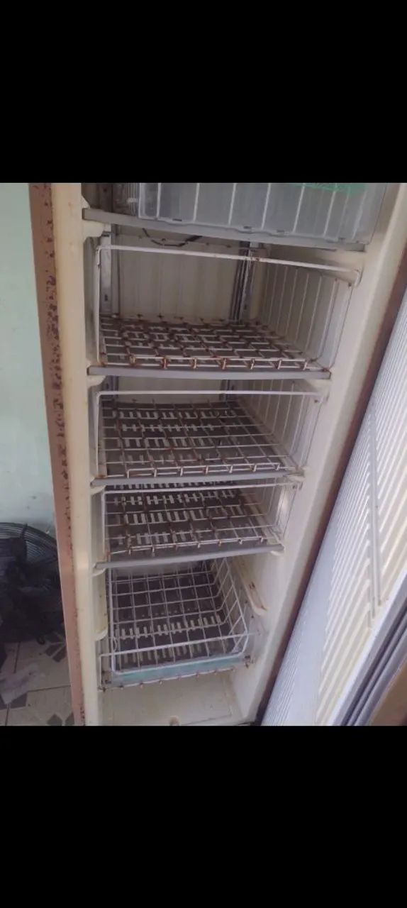 Freezer vertical