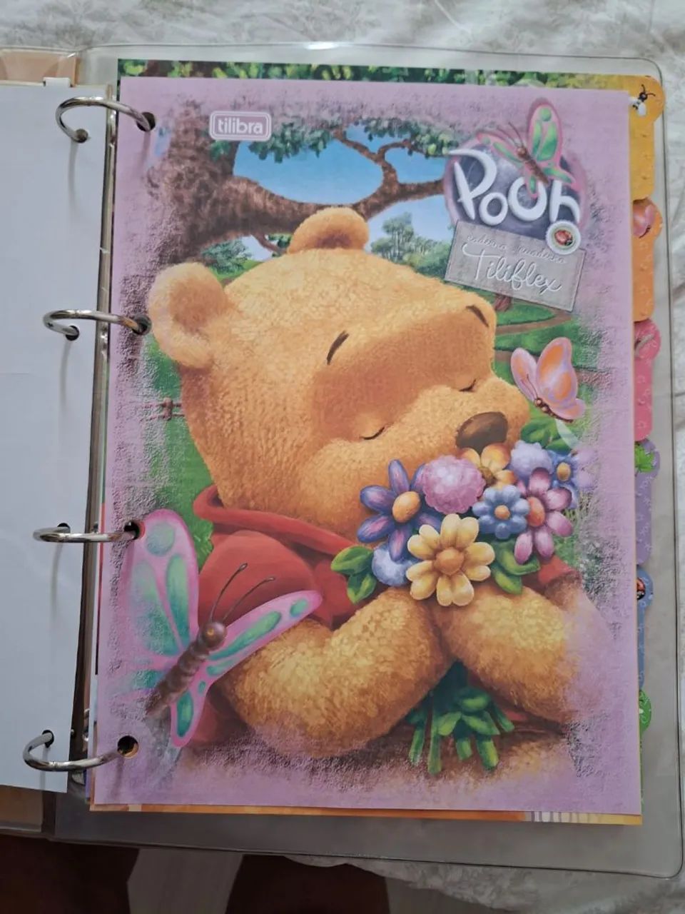 Fichario Pooh anos 2000 - Foto 4