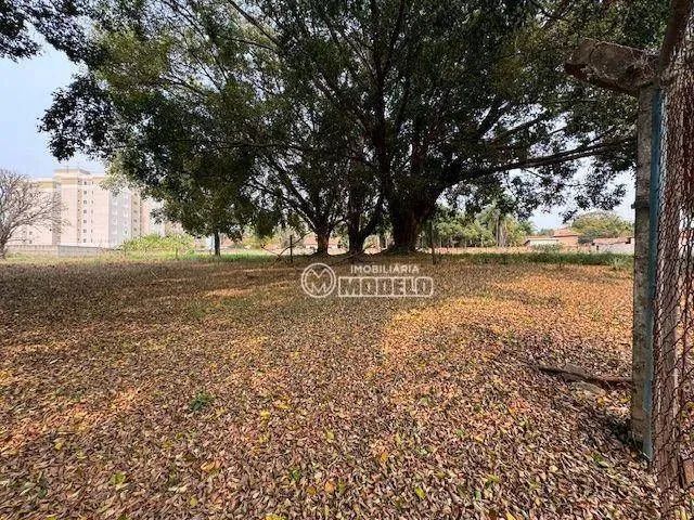 Terreno à venda, 3870 m² por R$ 1.550.000 - Dois Córregos - Piracicaba/SP - Foto 10