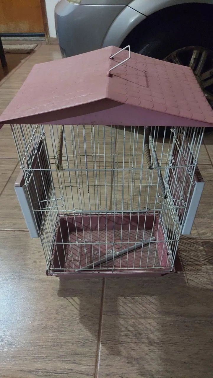 Gaiola Pássaros  - Foto 2