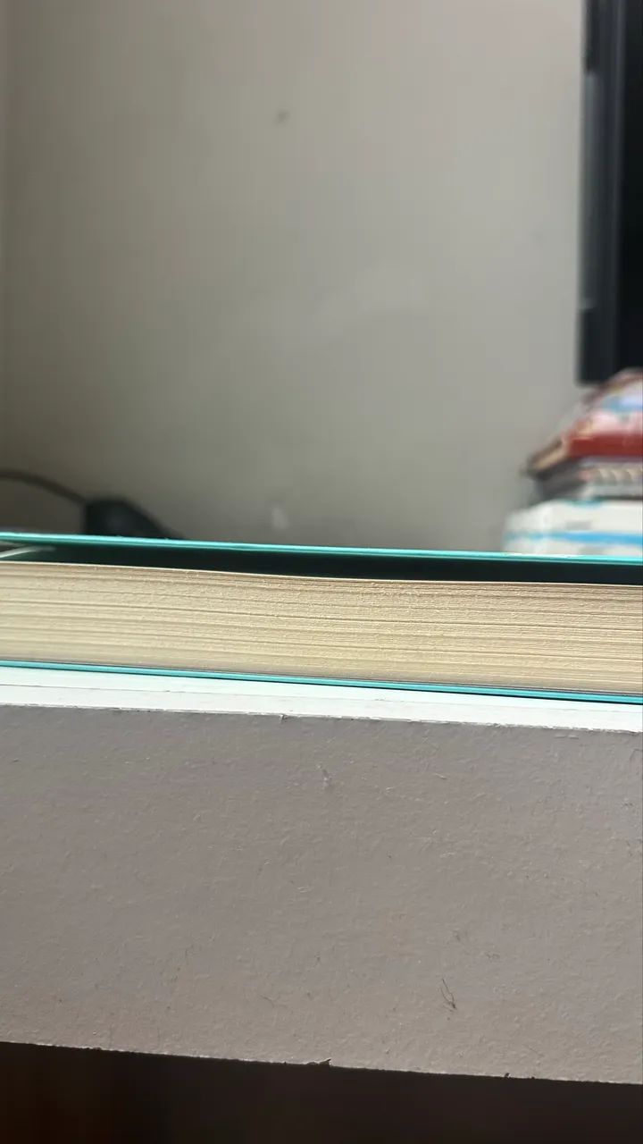 Livro A Herdeira - Foto 3
