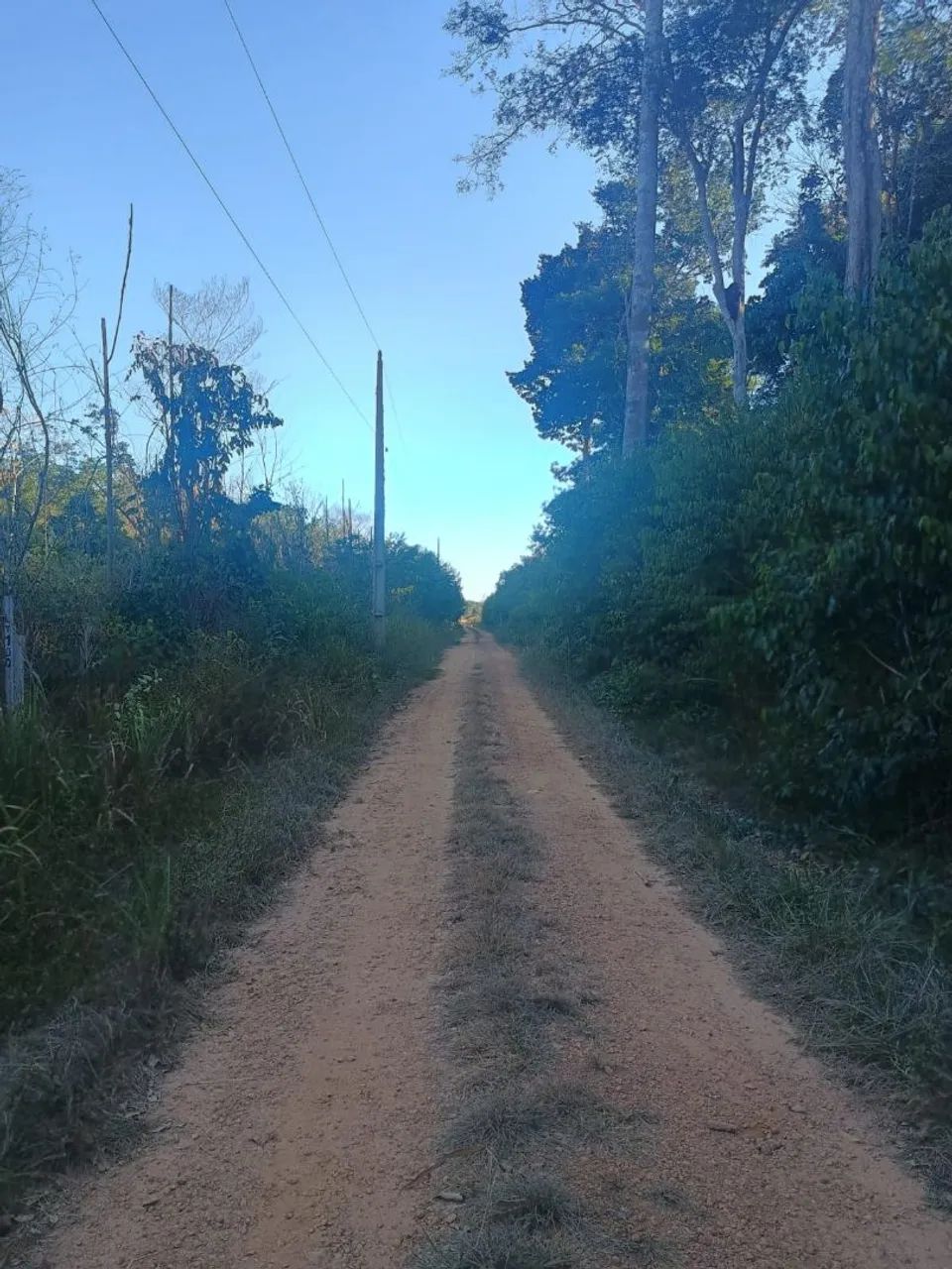 Terreno 25x100 - Foto 2