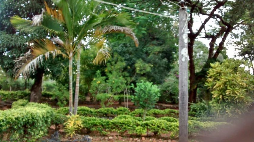  Sitio em Lagoa Santa - Foto 3